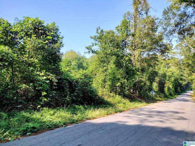 0 FINCHER ROAD, Roanoke, AL 36274