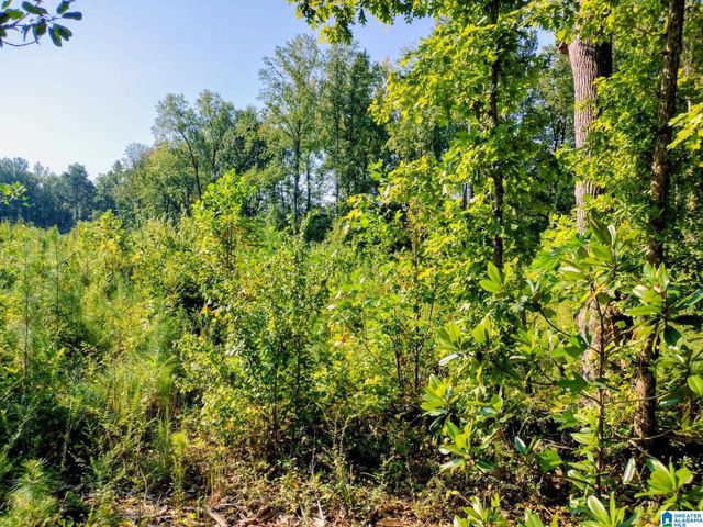 0 FINCHER ROAD, Roanoke, AL 36274