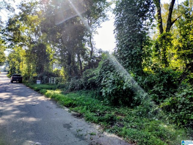 0 FINCHER ROAD, Roanoke, AL 36274