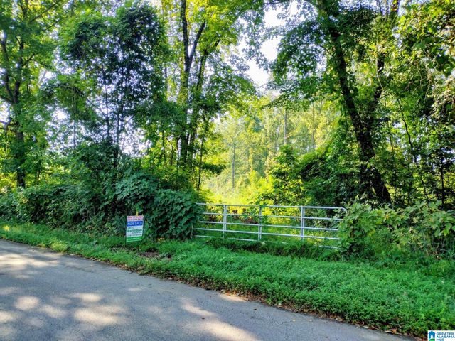 0 FINCHER ROAD, Roanoke, AL 36274