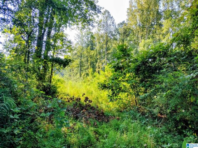 0 FINCHER ROAD, Roanoke, AL 36274