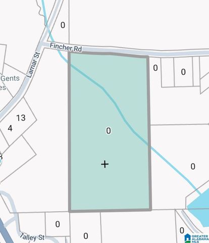 0 FINCHER ROAD, Roanoke, AL 36274