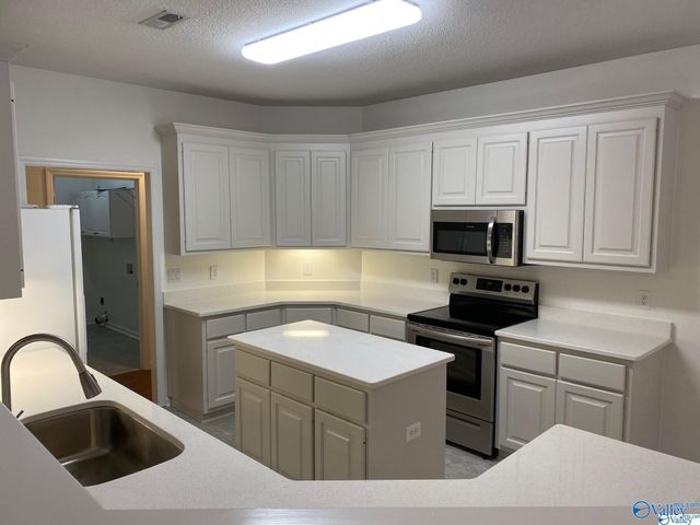 417 Barrington Hills Drive, Madison, AL 35758