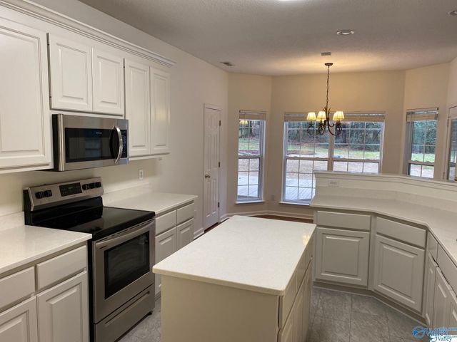 417 Barrington Hills Drive, Madison, AL 35758