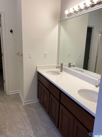 417 Barrington Hills Drive, Madison, AL 35758