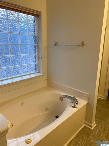 417 Barrington Hills Drive, Madison, AL 35758