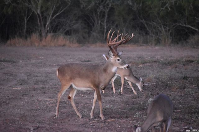 208 WELL PAD RD, George West, TX 78022
