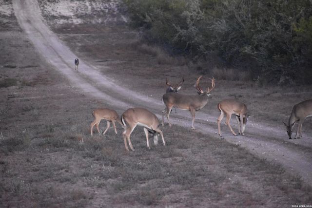 208 WELL PAD RD, George West, TX 78022