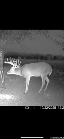 208 WELL PAD RD, George West, TX 78022
