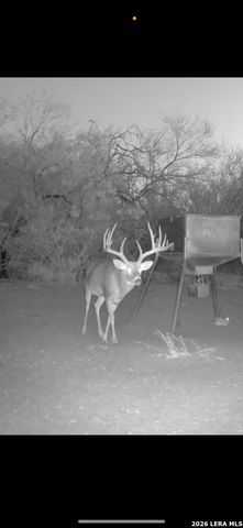 208 WELL PAD RD, George West, TX 78022