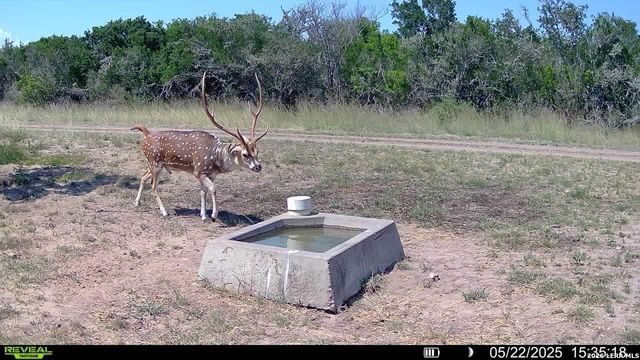 208 WELL PAD RD, George West, TX 78022
