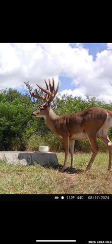 208 WELL PAD RD, George West, TX 78022
