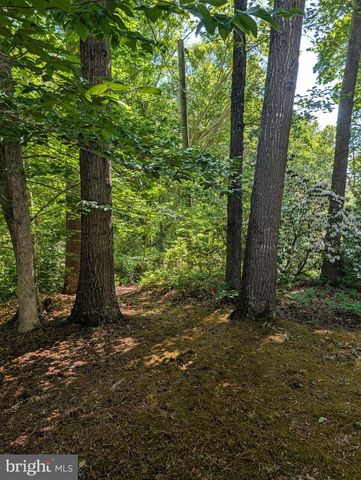 4631 NOMINI HALL RD, Hague, VA 22469
