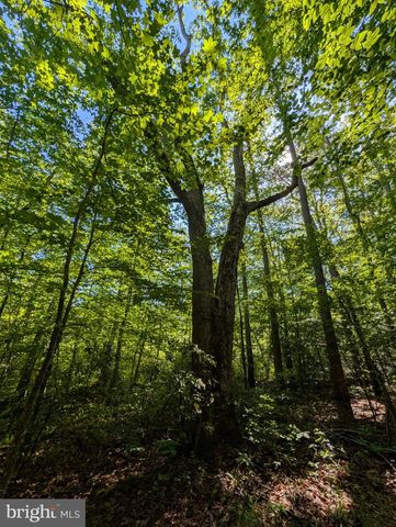 4631 NOMINI HALL RD, Hague, VA 22469