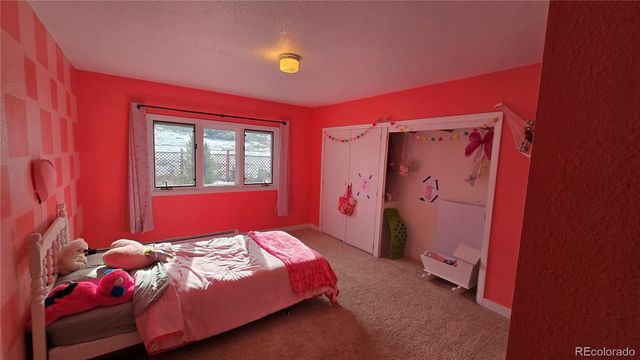 411 Gruenberg Road, Fort Garland, CO 81133