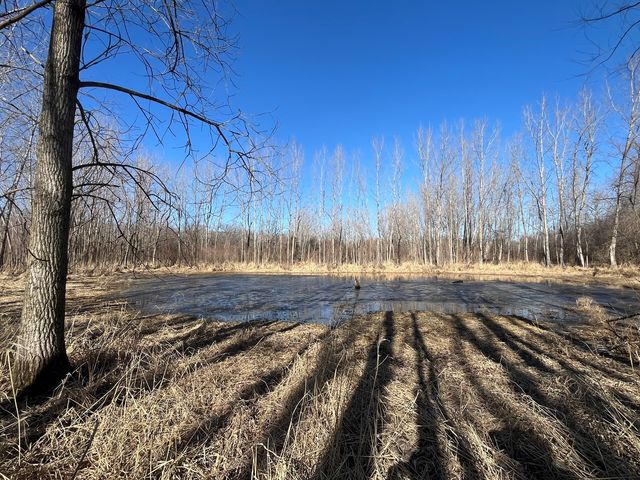 39155 N Dilleys Road, Wadsworth, IL 60083