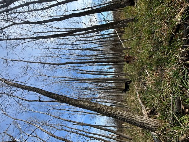 39155 N Dilleys Road, Wadsworth, IL 60083