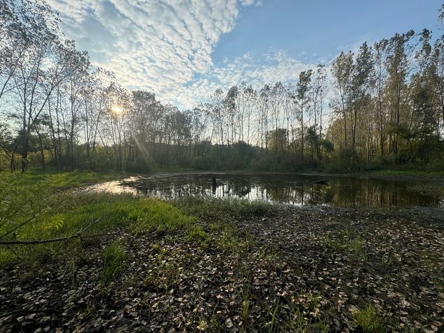 39155 N Dilleys Road, Wadsworth, IL 60083