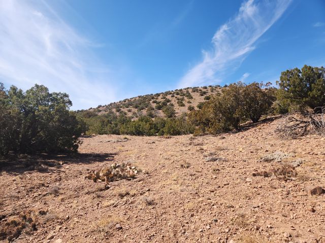 25 CAMINO DEL TECOLOTE, Placitas, NM 87043