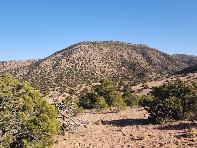 25 CAMINO DEL TECOLOTE, Placitas, NM 87043