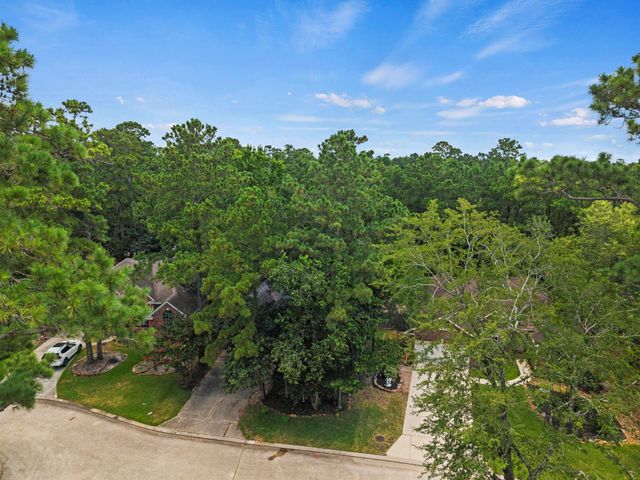 54 Wrens Song Place, The Woodlands, TX 77382