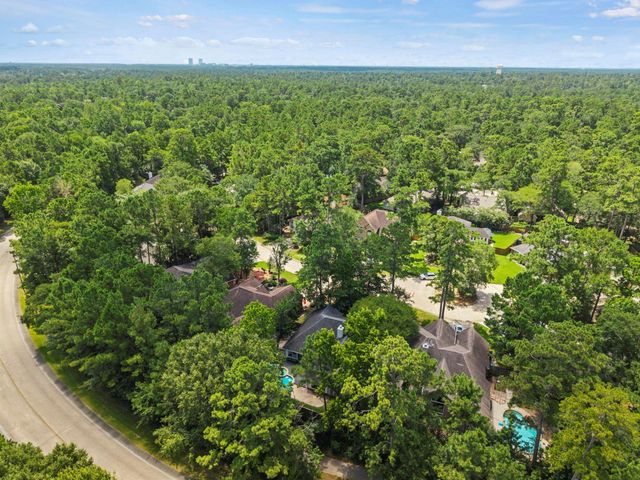 54 Wrens Song Place, The Woodlands, TX 77382