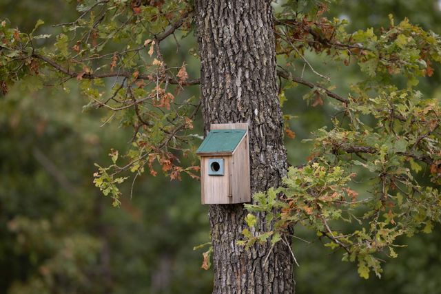 11571 Co Road 76-211, Ava, MO 65608