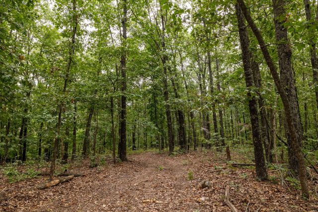 11571 Co Road 76-211, Ava, MO 65608