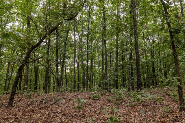 11571 Co Road 76-211, Ava, MO 65608