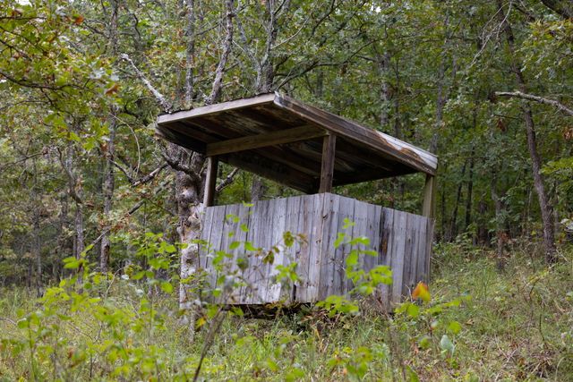 11571 Co Road 76-211, Ava, MO 65608