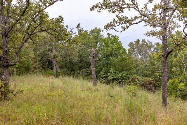 11571 Co Road 76-211, Ava, MO 65608