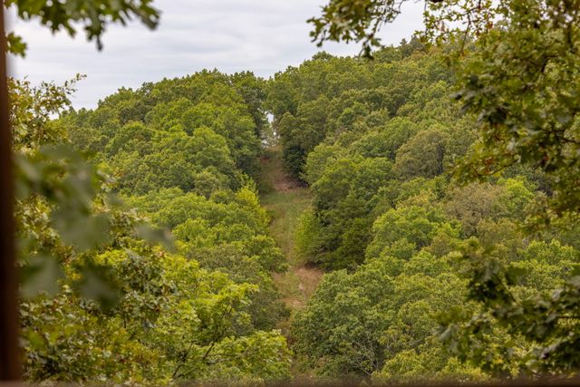 11571 Co Road 76-211, Ava, MO 65608