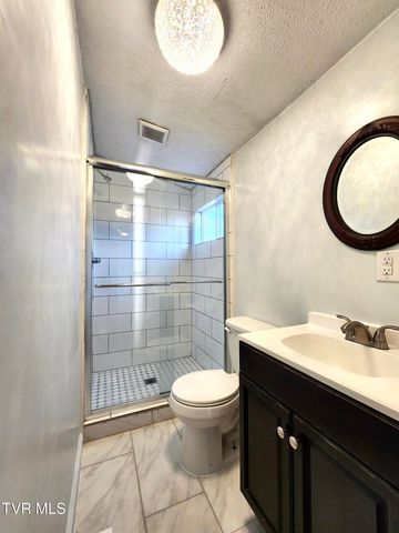 489 Bill West Road, Limestone, TN 37681