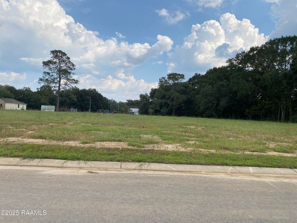 107 Birch Hill Drive, Lafayette, LA 70508