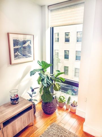 257 Northampton 311, Boston, MA 02118