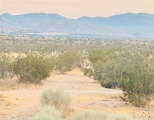 1 Cottonwood Springs, Lucerne Valley, CA 92307