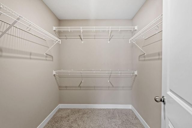 20646 Gosford Way, Lakeville, MN 55044