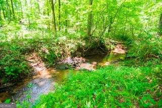 0 White Road, Pine Mountain, GA 31822