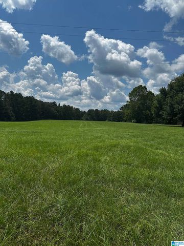 00 COUNTY ROAD 2, Fayette, AL 35555