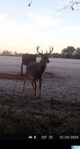 00 COUNTY ROAD 2, Fayette, AL 35555