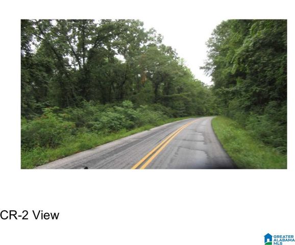 00 COUNTY ROAD 2, Fayette, AL 35555