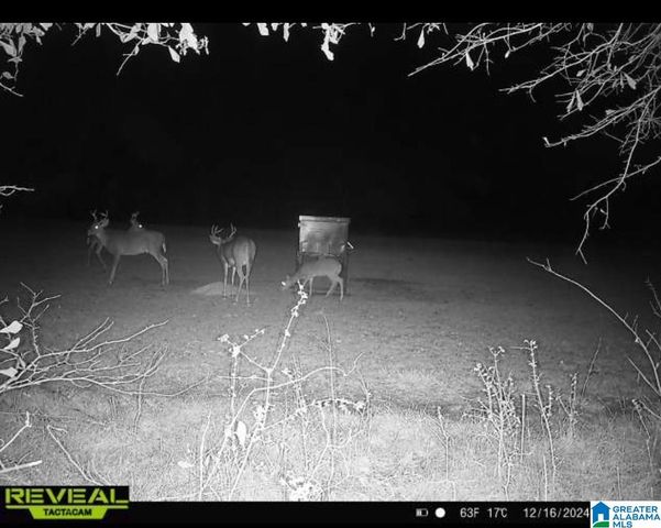 00 COUNTY ROAD 2, Fayette, AL 35555