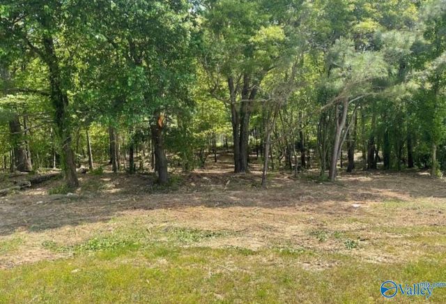 161 County Road 1762, Baileyton, AL 35019