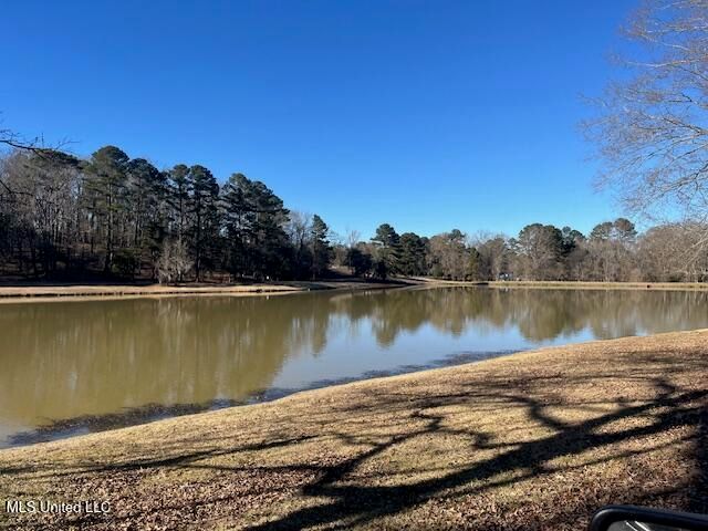 306 Linda Drive, Clinton, MS 39056