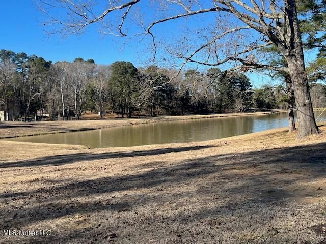 306 Linda Drive, Clinton, MS 39056