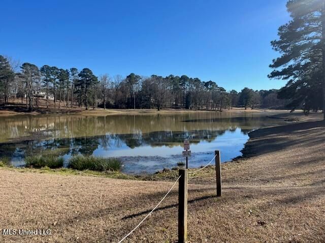 306 Linda Drive, Clinton, MS 39056