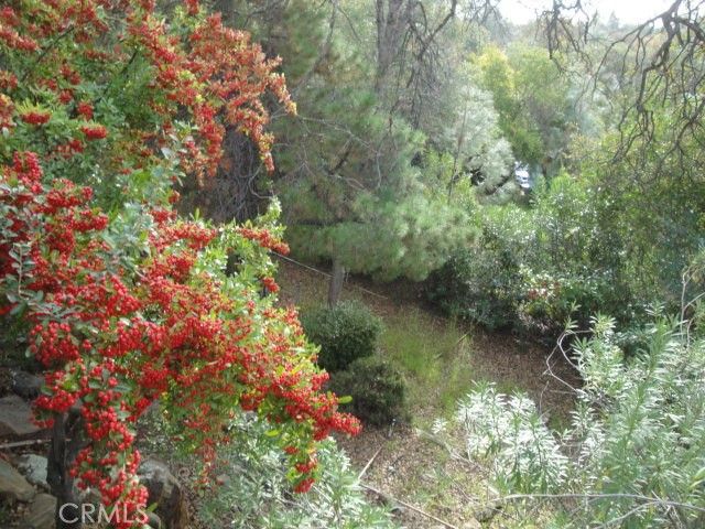 71 Greenbrier Drive, Oroville, CA 95966