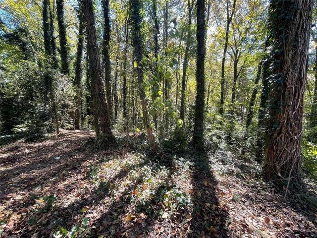 1060 De Leon Drive, Clarkston, GA 30021