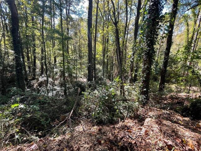 1060 De Leon Drive, Clarkston, GA 30021