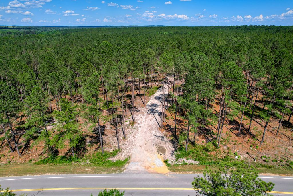 420 Acres N Columbia Highway, N, Ridge Spring, SC 29129